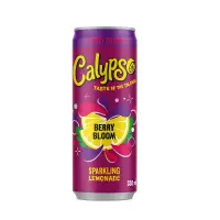 Calypso Zero Berry Bloom 0,33L Dose 24er Tray