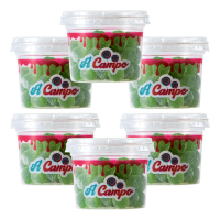 6x A-Campo Menthol Drops 2go