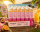 Viwa Collagen - Orange Passion Fruit 12er Tray